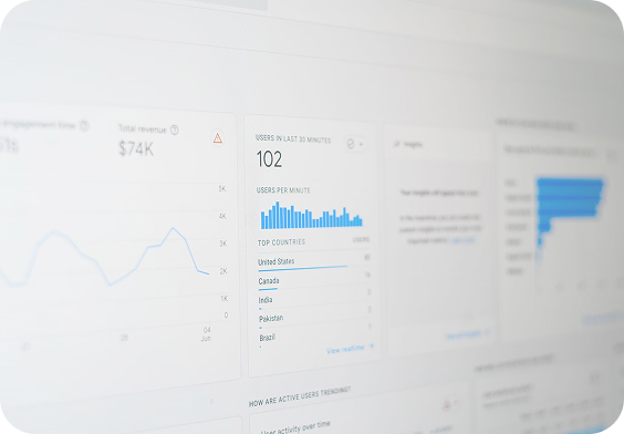 Functional Client Area